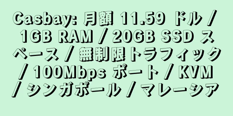 Casbay: 月額 11.59 ドル / 1GB RAM / 20GB SSD スペース / 無制限トラフィック / 100Mbps ポート / KVM / シンガポール / マレーシア