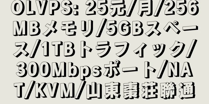 OLVPS: 25元/月/256MBメモリ/5GBスペース/1TBトラフィック/300Mbpsポート/NAT/KVM/山東棗荘聯通