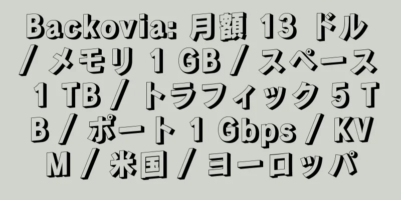 Backovia: 月額 13 ドル / メモリ 1 GB / スペース 1 TB / トラフィック 5 TB / ポート 1 Gbps / KVM / 米国 / ヨーロッパ