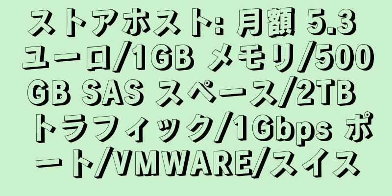 ストアホスト: 月額 5.3 ユーロ/1GB メモリ/500GB SAS スペース/2TB トラフィック/1Gbps ポート/VMWARE/スイス