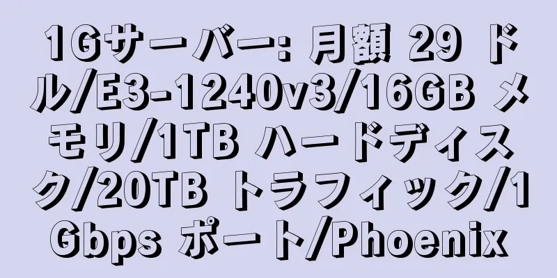 1Gサーバー: 月額 29 ドル/E3-1240v3/16GB メモリ/1TB ハードディスク/20TB トラフィック/1Gbps ポート/Phoenix