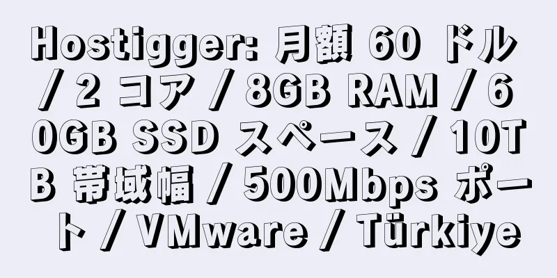 Hostigger: 月額 60 ドル / 2 コア / 8GB RAM / 60GB SSD スペース / 10TB 帯域幅 / 500Mbps ポート / VMware / Türkiye