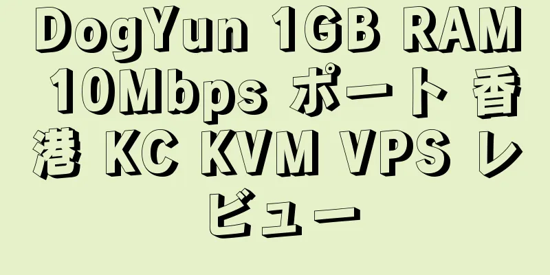 DogYun 1GB RAM 10Mbps ポート 香港 KC KVM VPS レビュー