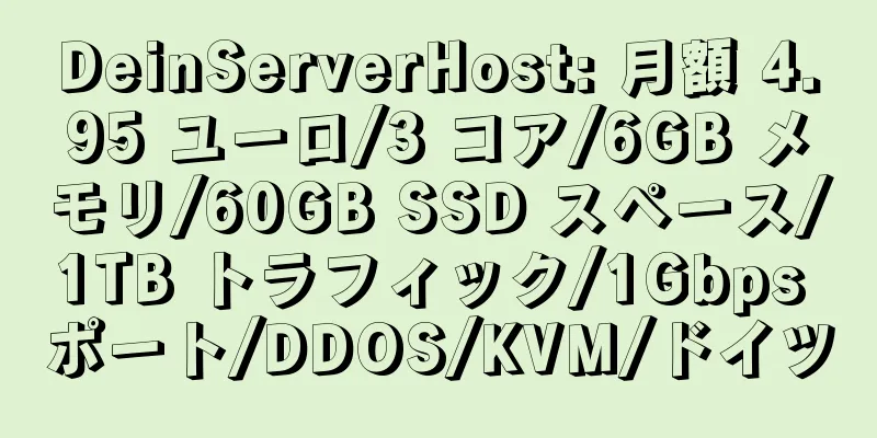 DeinServerHost: 月額 4.95 ユーロ/3 コア/6GB メモリ/60GB SSD スペース/1TB トラフィック/1Gbps ポート/DDOS/KVM/ドイツ