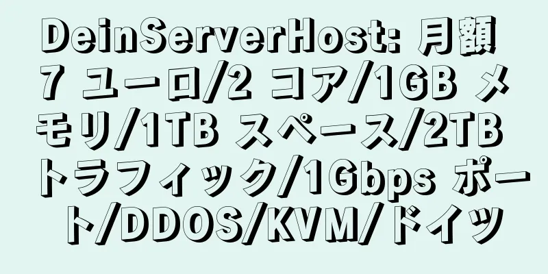 DeinServerHost: 月額 7 ユーロ/2 コア/1GB メモリ/1TB スペース/2TB トラフィック/1Gbps ポート/DDOS/KVM/ドイツ