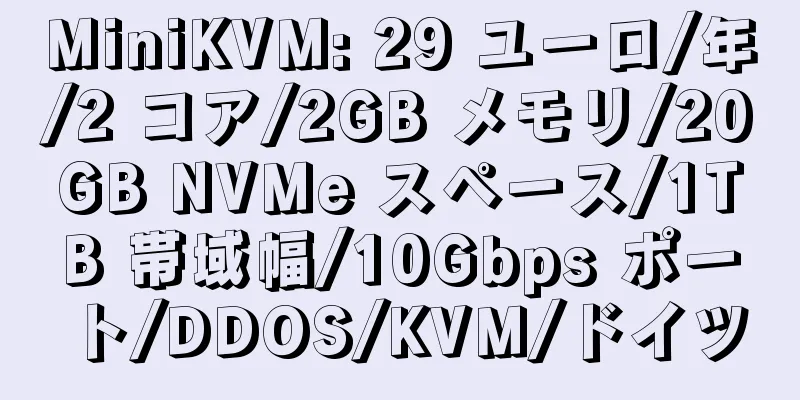 MiniKVM: 29 ユーロ/年/2 コア/2GB メモリ/20GB NVMe スペース/1TB 帯域幅/10Gbps ポート/DDOS/KVM/ドイツ