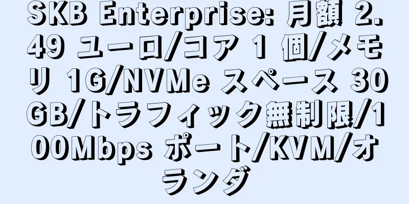 SKB Enterprise: 月額 2.49 ユーロ/コア 1 個/メモリ 1G/NVMe スペース 30GB/トラフィック無制限/100Mbps ポート/KVM/オランダ