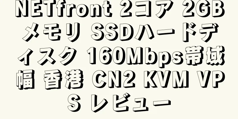 NETfront 2コア 2GBメモリ SSDハードディスク 160Mbps帯域幅 香港 CN2 KVM VPS レビュー