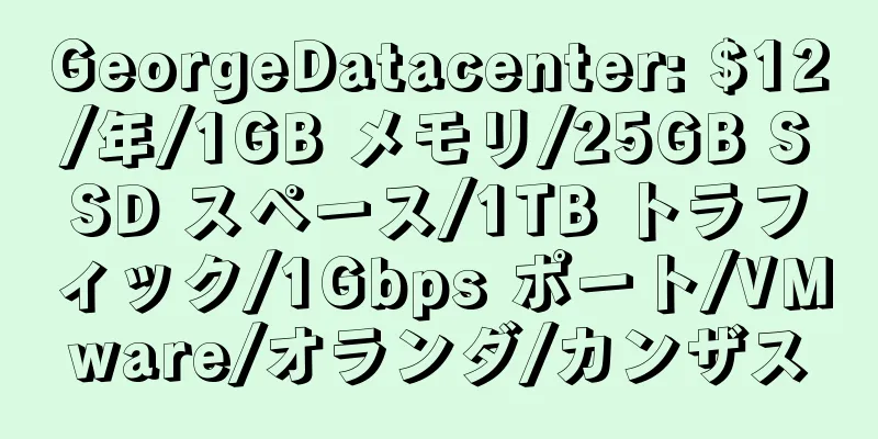 GeorgeDatacenter: $12/年/1GB メモリ/25GB SSD スペース/1TB トラフィック/1Gbps ポート/VMware/オランダ/カンザス