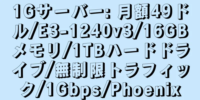 1Gサーバー: 月額49ドル/E3-1240v3/16GBメモリ/1TBハードドライブ/無制限トラフィック/1Gbps/Phoenix