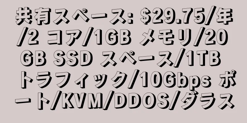 共有スペース: $29.75/年/2 コア/1GB メモリ/20GB SSD スペース/1TB トラフィック/10Gbps ポート/KVM/DDOS/ダラス