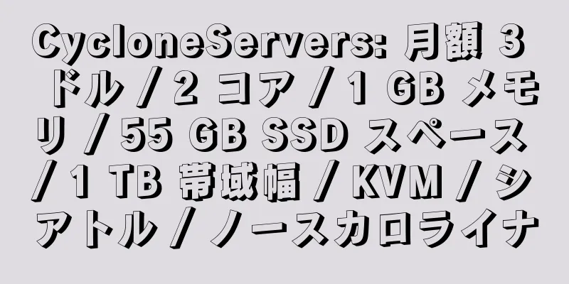 CycloneServers: 月額 3 ドル / 2 コア / 1 GB メモリ / 55 GB SSD スペース / 1 TB 帯域幅 / KVM / シアトル / ノースカロライナ