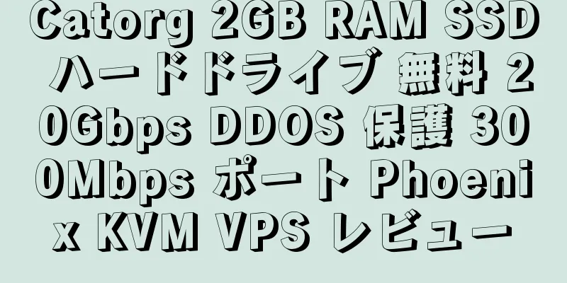 Catorg 2GB RAM SSD ハードドライブ 無料 20Gbps DDOS 保護 300Mbps ポート Phoenix KVM VPS レビュー