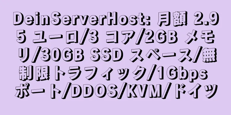 DeinServerHost: 月額 2.95 ユーロ/3 コア/2GB メモリ/30GB SSD スペース/無制限トラフィック/1Gbps ポート/DDOS/KVM/ドイツ