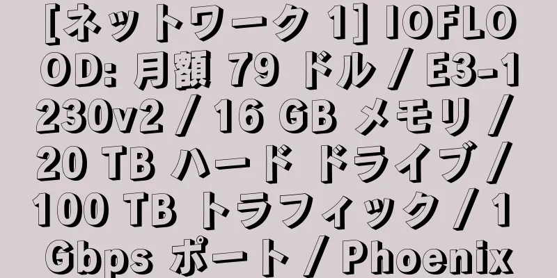 [ネットワーク 1] IOFLOOD: 月額 79 ドル / E3-1230v2 / 16 GB メモリ / 20 TB ハード ドライブ / 100 TB トラフィック / 1 Gbps ポート / Phoenix