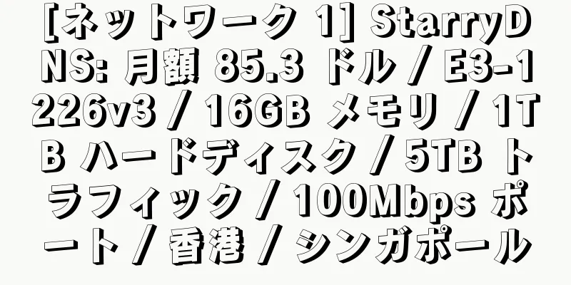 [ネットワーク 1] StarryDNS: 月額 85.3 ドル / E3-1226v3 / 16GB メモリ / 1TB ハードディスク / 5TB トラフィック / 100Mbps ポート / 香港 / シンガポール