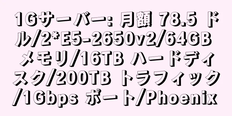 1Gサーバー: 月額 78.5 ドル/2*E5-2650v2/64GB メモリ/16TB ハードディスク/200TB トラフィック/1Gbps ポート/Phoenix