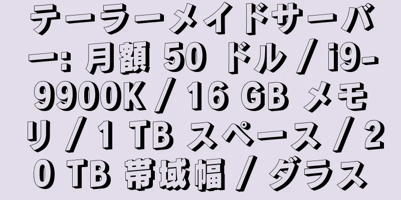 テーラーメイドサーバー: 月額 50 ドル / i9-9900K / 16 GB メモリ / 1 TB スペース / 20 TB 帯域幅 / ダラス