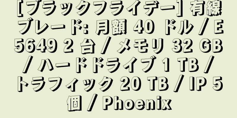 [ブラックフライデー] 有線ブレード: 月額 40 ドル / E5649 2 台 / メモリ 32 GB / ハードドライブ 1 TB / トラフィック 20 TB / IP 5 個 / Phoenix