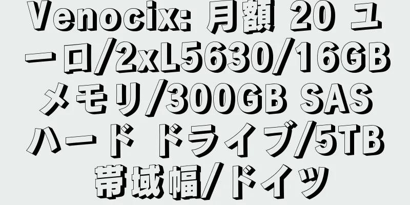 Venocix: 月額 20 ユーロ/2xL5630/16GB メモリ/300GB SAS ハード ドライブ/5TB 帯域幅/ドイツ