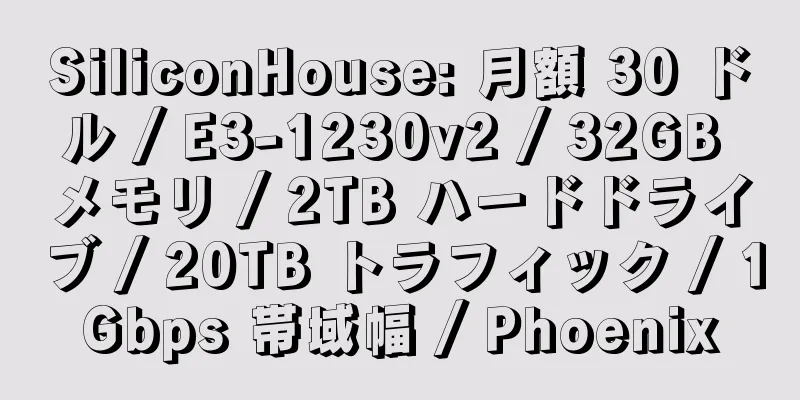 SiliconHouse: 月額 30 ドル / E3-1230v2 / 32GB メモリ / 2TB ハードドライブ / 20TB トラフィック / 1Gbps 帯域幅 / Phoenix