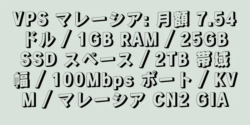 VPS マレーシア: 月額 7.54 ドル / 1GB RAM / 25GB SSD スペース / 2TB 帯域幅 / 100Mbps ポート / KVM / マレーシア CN2 GIA