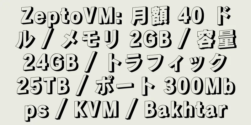 ZeptoVM: 月額 40 ドル / メモリ 2GB / 容量 24GB / トラフィック 25TB / ポート 300Mbps / KVM / Bakhtar