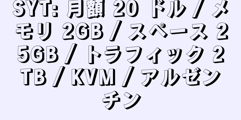 SYT: 月額 20 ドル / メモリ 2GB / スペース 25GB / トラフィック 2TB / KVM / アルゼンチン