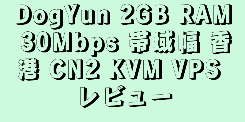 DogYun 2GB RAM 30Mbps 帯域幅 香港 CN2 KVM VPS レビュー