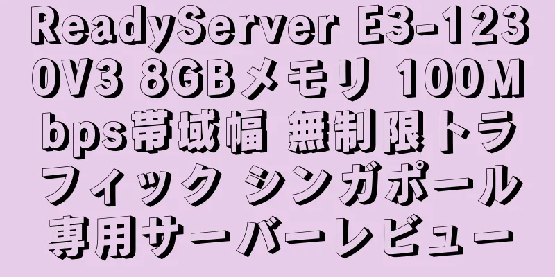 ReadyServer E3-1230V3 8GBメモリ 100Mbps帯域幅 無制限トラフィック シンガポール専用サーバーレビュー