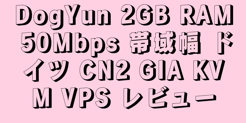 DogYun 2GB RAM 50Mbps 帯域幅 ドイツ CN2 GIA KVM VPS レビュー