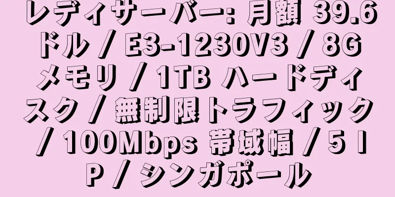 レディサーバー: 月額 39.6 ドル / E3-1230V3 / 8G メモリ / 1TB ハードディスク / 無制限トラフィック / 100Mbps 帯域幅 / 5 IP / シンガポール