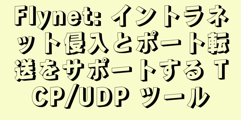 Flynet: イントラネット侵入とポート転送をサポートする TCP/UDP ツール