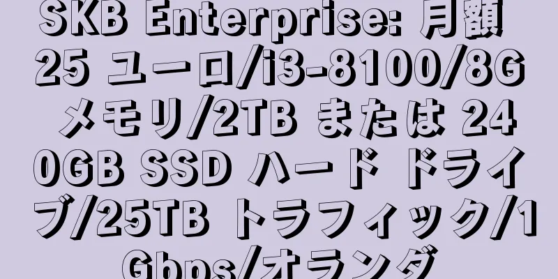 SKB Enterprise: 月額 25 ユーロ/i3-8100/8G メモリ/2TB または 240GB SSD ハード ドライブ/25TB トラフィック/1Gbps/オランダ