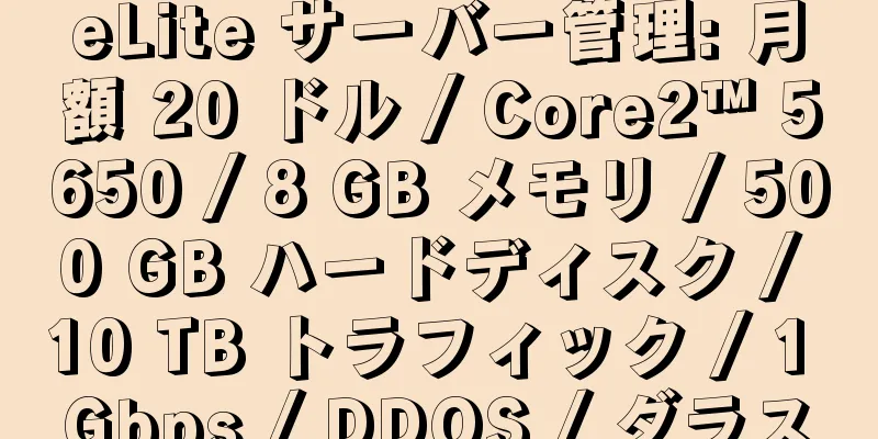 eLite サーバー管理: 月額 20 ドル / Core2™ 5650 / 8 GB メモリ / 500 GB ハードディスク / 10 TB トラフィック / 1 Gbps / DDOS / ダラス