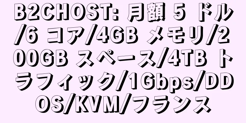 B2CHOST: 月額 5 ドル/6 コア/4GB メモリ/200GB スペース/4TB トラフィック/1Gbps/DDOS/KVM/フランス