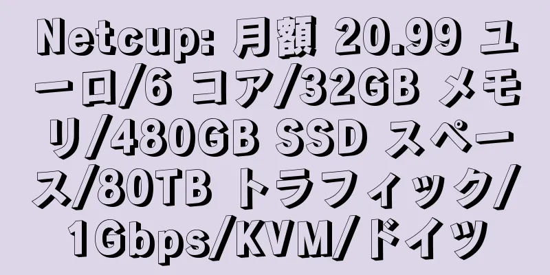 Netcup: 月額 20.99 ユーロ/6 コア/32GB メモリ/480GB SSD スペース/80TB トラフィック/1Gbps/KVM/ドイツ