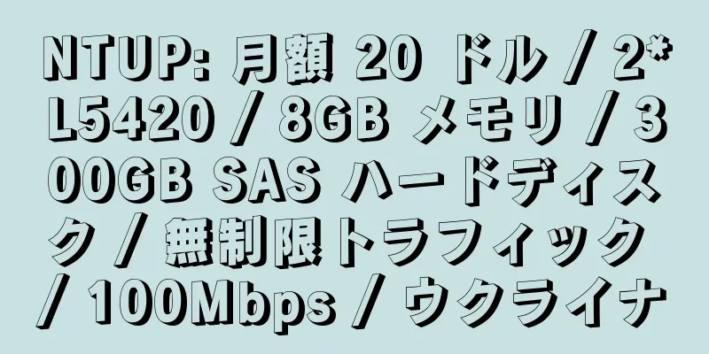 NTUP: 月額 20 ドル / 2*L5420 / 8GB メモリ / 300GB SAS ハードディスク / 無制限トラフィック / 100Mbps / ウクライナ