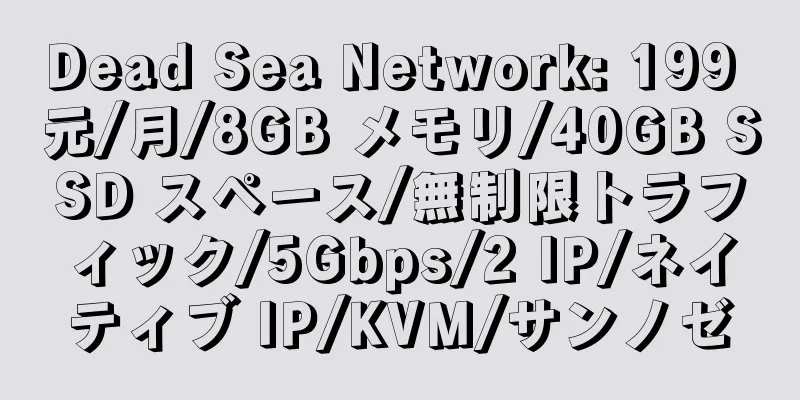 Dead Sea Network: 199 元/月/8GB メモリ/40GB SSD スペース/無制限トラフィック/5Gbps/2 IP/ネイティブ IP/KVM/サンノゼ