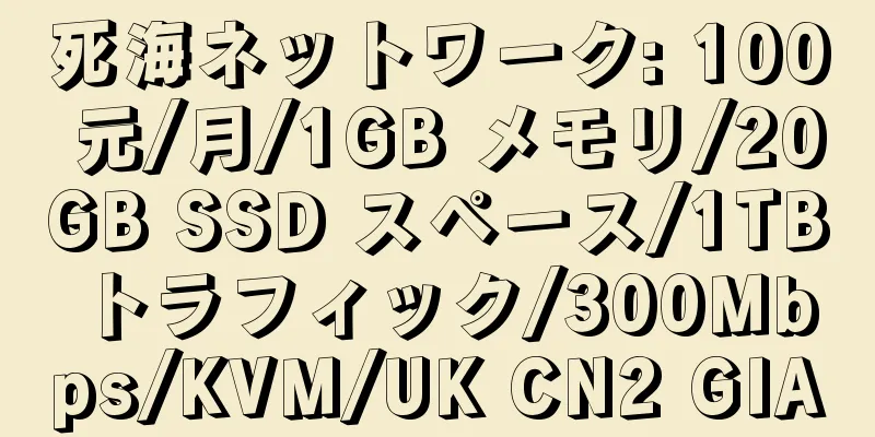 死海ネットワーク: 100 元/月/1GB メモリ/20GB SSD スペース/1TB トラフィック/300Mbps/KVM/UK CN2 GIA