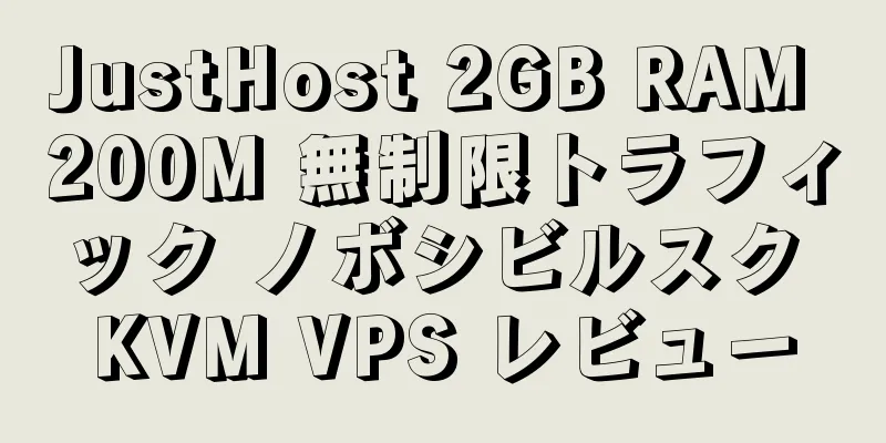 JustHost 2GB RAM 200M 無制限トラフィック ノボシビルスク KVM VPS レビュー