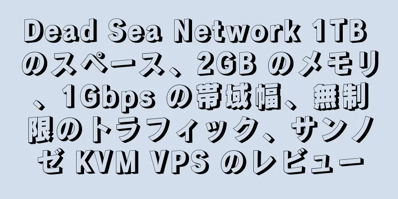 Dead Sea Network 1TB のスペース、2GB のメモリ、1Gbps の帯域幅、無制限のトラフィック、サンノゼ KVM VPS のレビュー