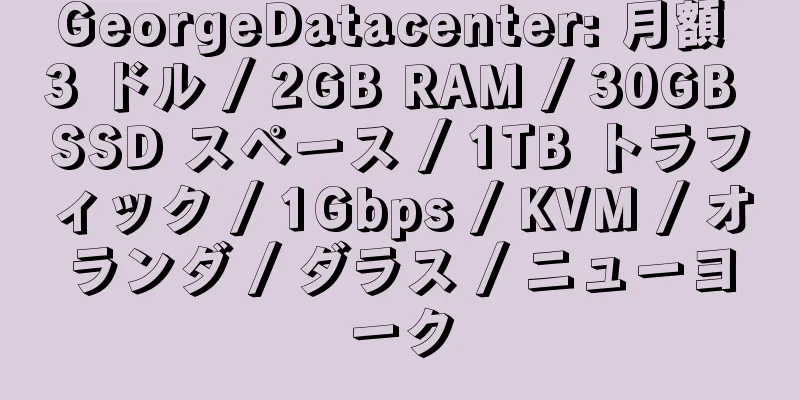 GeorgeDatacenter: 月額 3 ドル / 2GB RAM / 30GB SSD スペース / 1TB トラフィック / 1Gbps / KVM / オランダ / ダラス / ニューヨーク