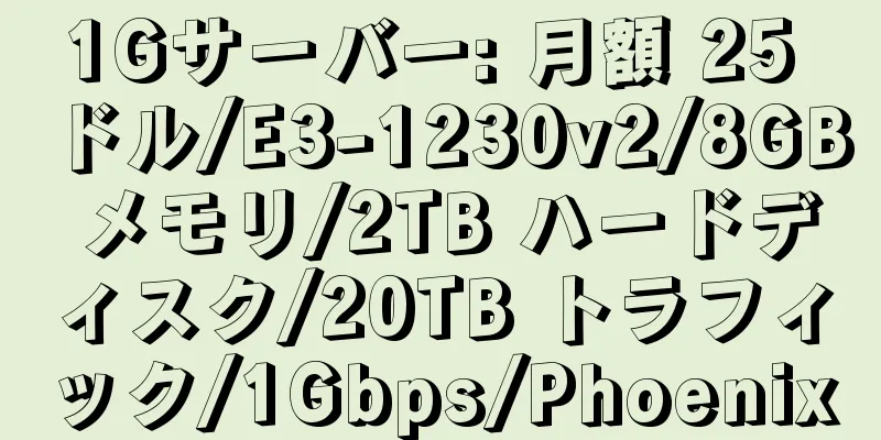 1Gサーバー: 月額 25 ドル/E3-1230v2/8GB メモリ/2TB ハードディスク/20TB トラフィック/1Gbps/Phoenix