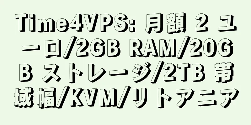 Time4VPS: 月額 2 ユーロ/2GB RAM/20GB ストレージ/2TB 帯域幅/KVM/リトアニア