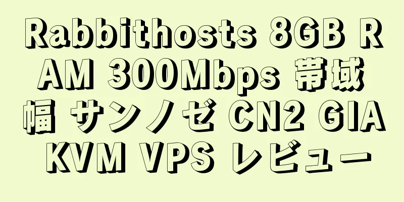 Rabbithosts 8GB RAM 300Mbps 帯域幅 サンノゼ CN2 GIA KVM VPS レビュー