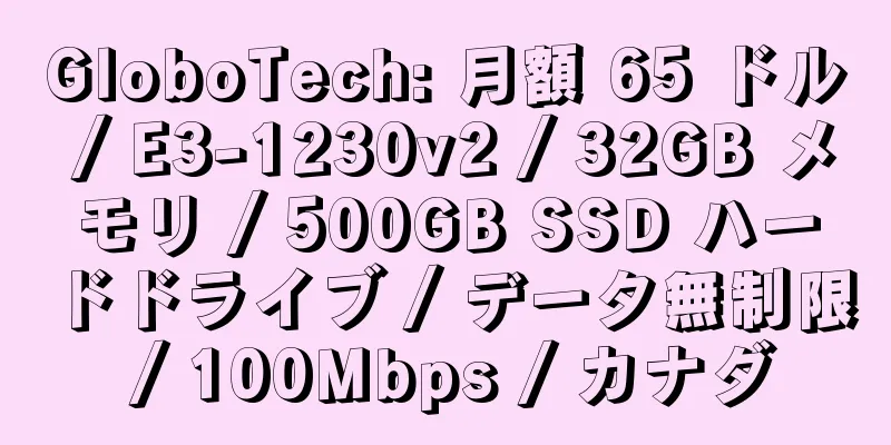 GloboTech: 月額 65 ドル / E3-1230v2 / 32GB メモリ / 500GB SSD ハードドライブ / データ無制限 / 100Mbps / カナダ