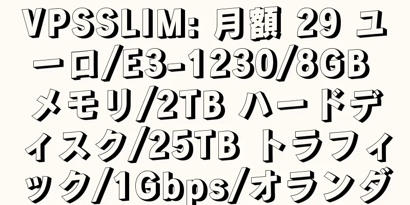 VPSSLIM: 月額 29 ユーロ/E3-1230/8GB メモリ/2TB ハードディスク/25TB トラフィック/1Gbps/オランダ