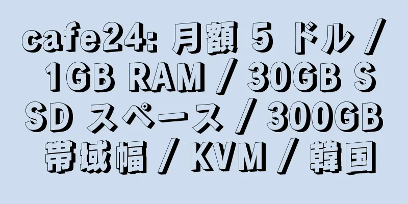 cafe24: 月額 5 ドル / 1GB RAM / 30GB SSD スペース / 300GB 帯域幅 / KVM / 韓国