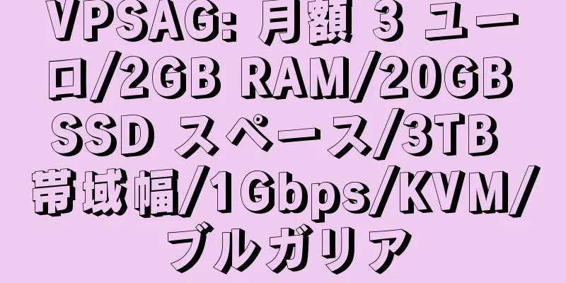 VPSAG: 月額 3 ユーロ/2GB RAM/20GB SSD スペース/3TB 帯域幅/1Gbps/KVM/ブルガリア